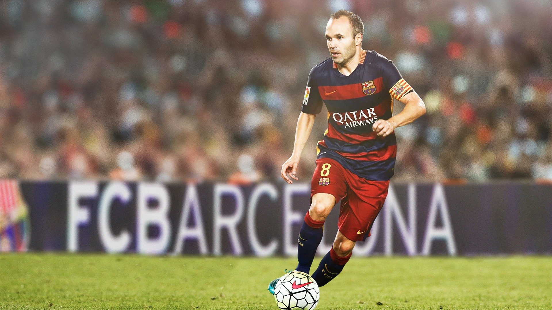 一站改命！诺里斯第一次真正像个世界冠军，诺里斯犬图片